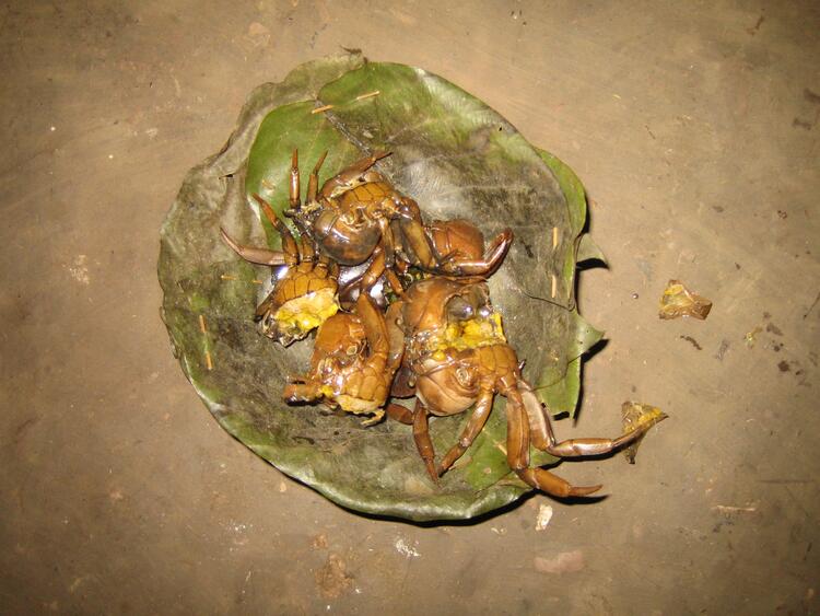 Crabs