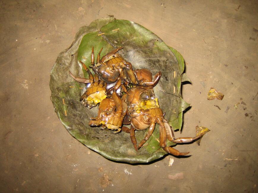 Crabs